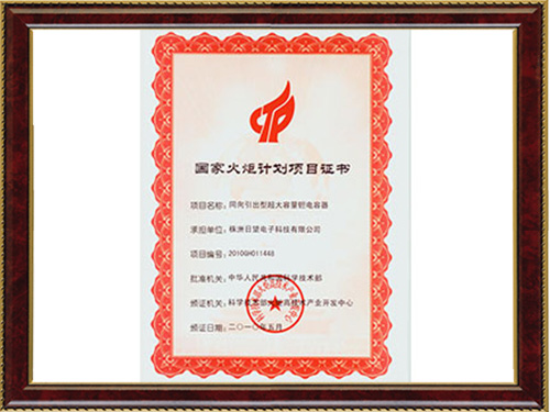 国度火炬打算项目证书