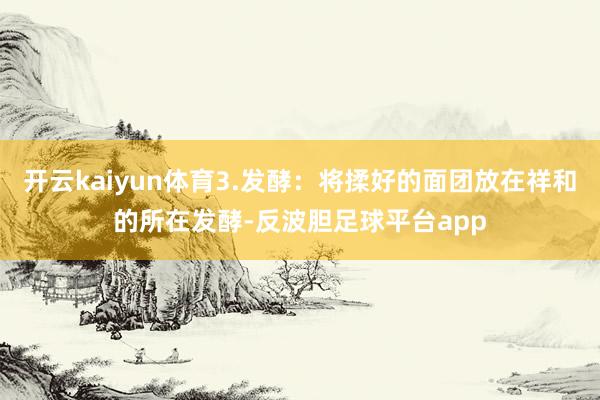 开云kaiyun体育3.发酵:将揉好的面团放在祥和的所在发酵-反波胆足球平台app