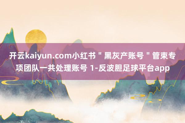 开云kaiyun.com小红书"黑灰产账号"管束专项团队一共处理账号 1-反波胆足球平台app