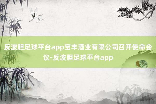 反波胆足球平台app宝丰酒业有限公司召开使命会议-反波胆足球平台app