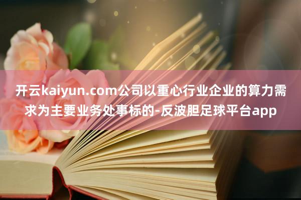 开云kaiyun.com公司以重心行业企业的算力需求为主要业务处事标的-反波胆足球平台app