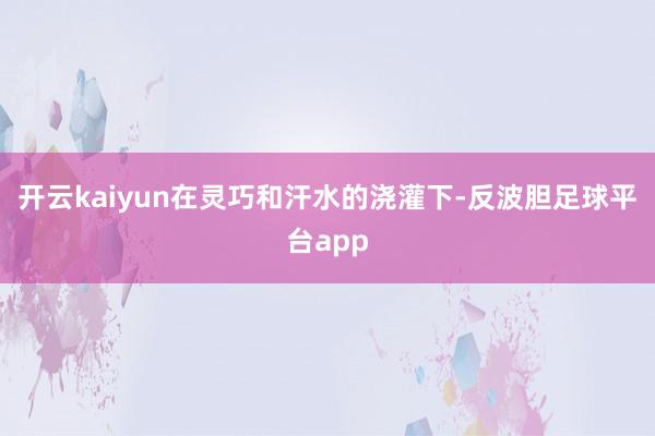 开云kaiyun 在灵巧和汗水的浇灌下-反波胆足球平台app