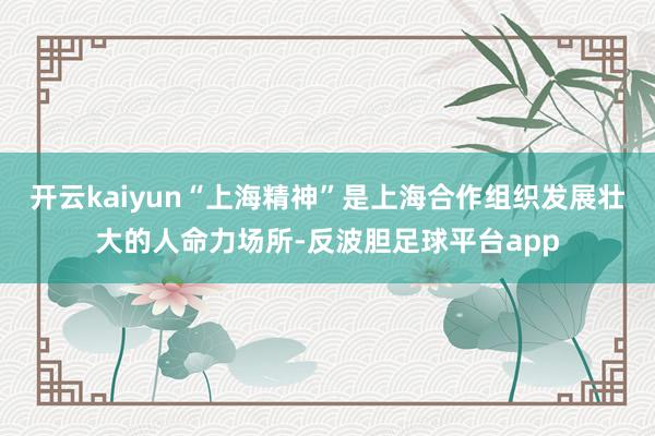 开云kaiyun“上海精神”是上海合作组织发展壮大的人命力场所-反波胆足球平台app
