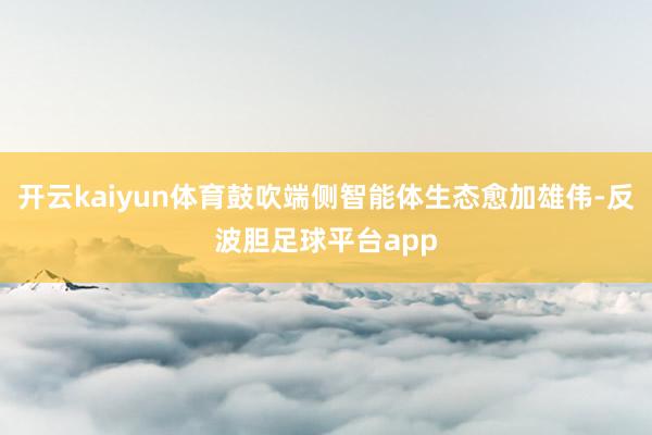 开云kaiyun体育鼓吹端侧智能体生态愈加雄伟-反波胆足球平台app
