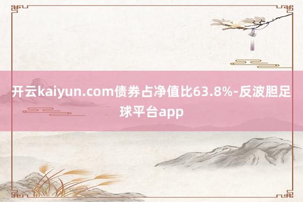 开云kaiyun.com债券占净值比63.8%-反波胆足球平台app