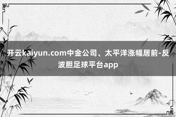 开云kaiyun.com中金公司、太平洋涨幅居前-反波胆足球平台app
