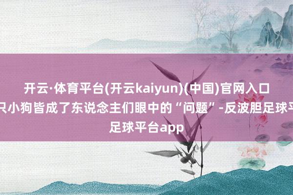 开云·体育平台(开云kaiyun)(中国)官网入口登录这只小狗皆成了东说念主们眼中的“问题”-反波胆足球平台app