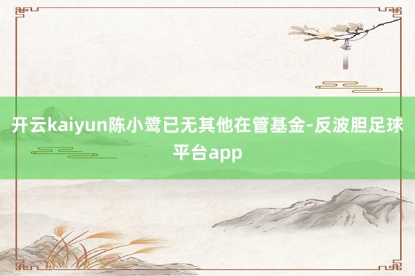 开云kaiyun陈小鹭已无其他在管基金-反波胆足球平台app