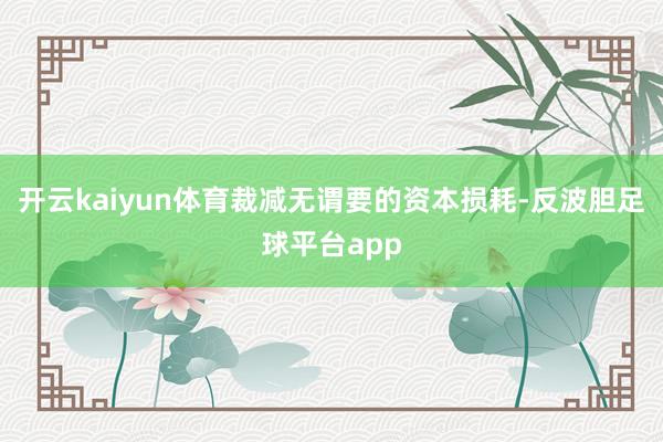 开云kaiyun体育裁减无谓要的资本损耗-反波胆足球平台app
