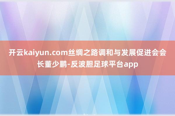 开云kaiyun.com丝绸之路调和与发展促进会会长董少鹏-反波胆足球平台app