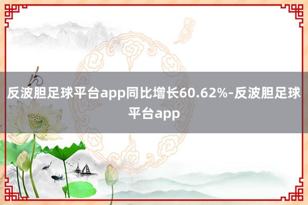 反波胆足球平台app同比增长60.62%-反波胆足球平台app