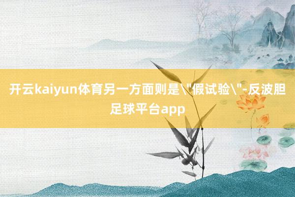 开云kaiyun体育另一方面则是