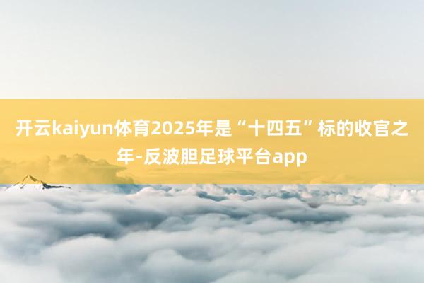 开云kaiyun体育2025年是“十四五”标的收官之年-反波胆足球平台app