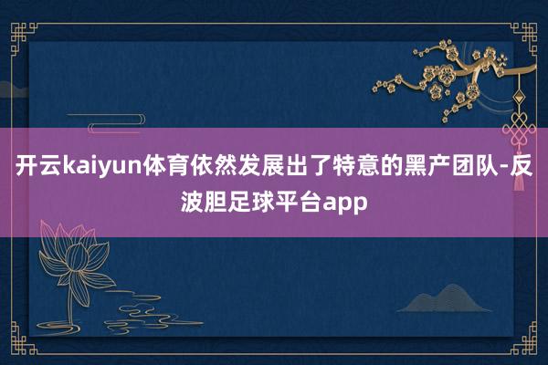 开云kaiyun体育依然发展出了特意的黑产团队-反波胆足球平台app