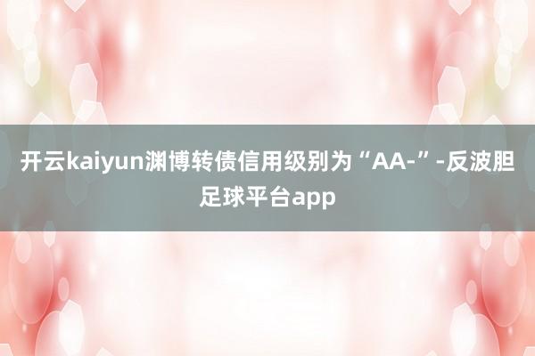 开云kaiyun渊博转债信用级别为“AA-”-反波胆足球平台app