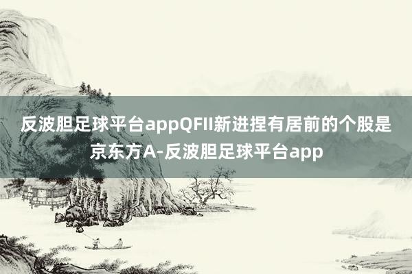 反波胆足球平台app　　QFII新进捏有居前的个股是京东方A-反波胆足球平台app