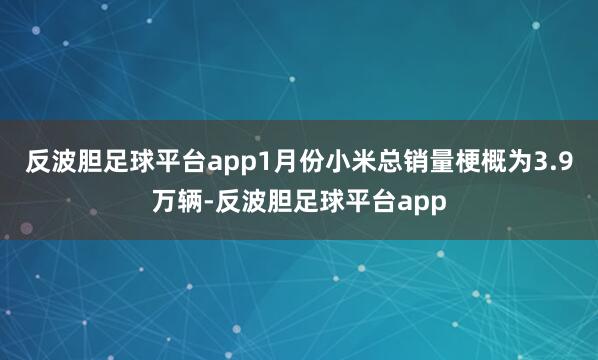 反波胆足球平台app1月份小米总销量梗概为3.9万辆-反波胆足球平台app