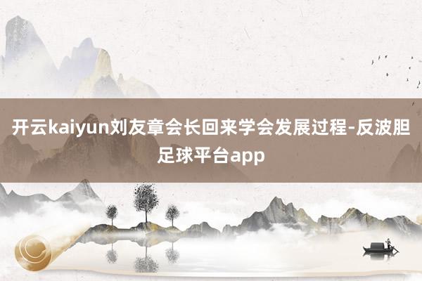 开云kaiyun刘友章会长回来学会发展过程-反波胆足球平台app