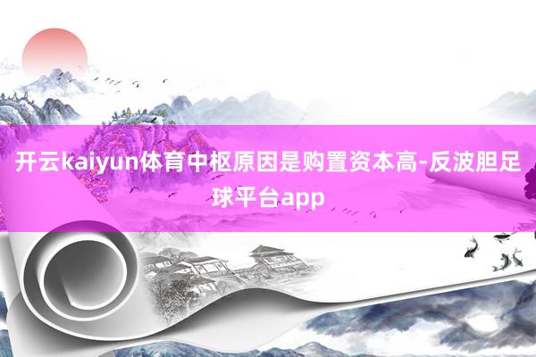 开云kaiyun体育中枢原因是购置资本高-反波胆足球平台app