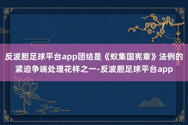 反波胆足球平台app团结是《蚁集国宪章》法例的紧迫争端处理花样之一-反波胆足球平台app