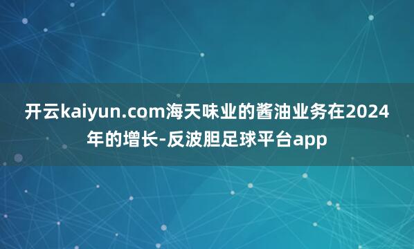 开云kaiyun.com海天味业的酱油业务在2024年的增长-反波胆足球平台app