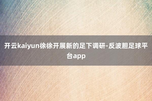 开云kaiyun徐徐开展新的足下调研-反波胆足球平台app