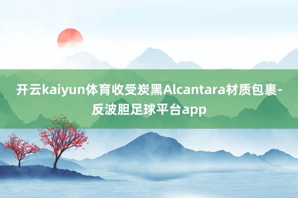 开云kaiyun体育收受炭黑Alcantara材质包裹-反波胆足球平台app
