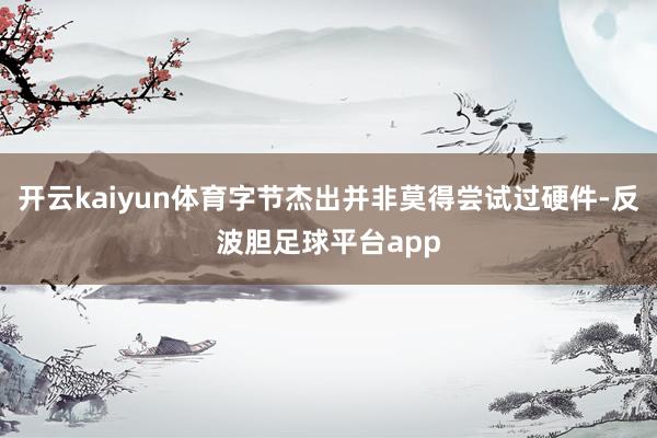 开云kaiyun体育字节杰出并非莫得尝试过硬件-反波胆足球平台app