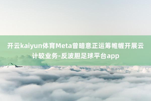 开云kaiyun体育Meta曾暗意正运筹帷幄开展云计较业务-反波胆足球平台app
