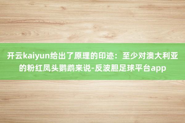 开云kaiyun给出了原理的印迹:至少对澳大利亚的粉红凤头鹦鹉来说-反波胆足球平台app