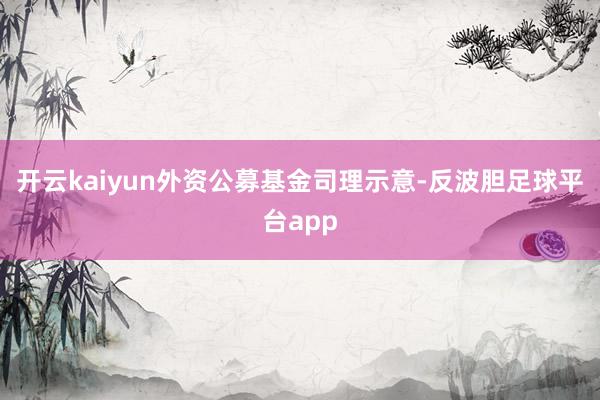 开云kaiyun外资公募基金司理示意-反波胆足球平台app