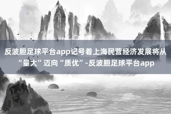 反波胆足球平台app记号着上海民营经济发展将从“量大”迈向“质优”-反波胆足球平台app
